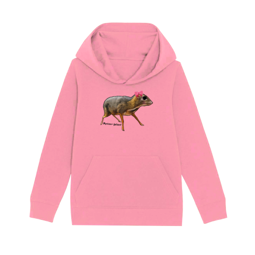 girl bluza różowa.png