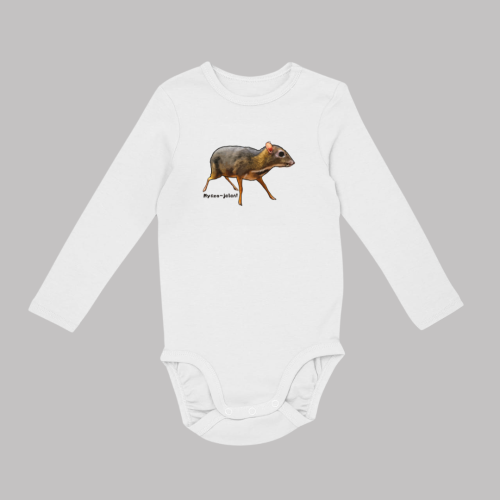 body (4).png