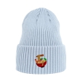 beanie-jasnoniebieski_ramen.png.jpg
