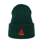 Haftowana czapka beanie - ARBUZ