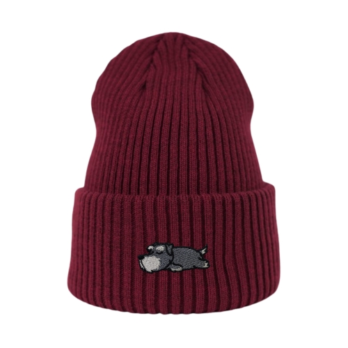 beanie-bordowy_spiacysznaucer.png.jpg