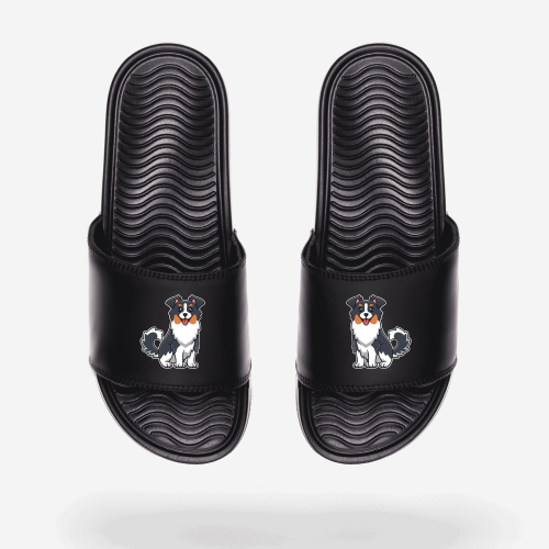 KLAPKI-pro_bordercollie.png