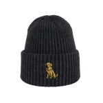 Haftowana dziecięca czapka beanie - GOLDEN RETRIEVER