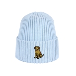 Haftowana dziecięca czapka beanie - LABRADOR BISZKOPTOWY (BLABLADOR)