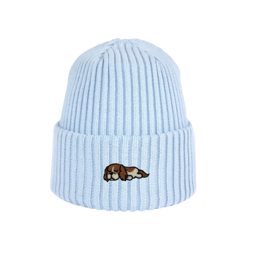 babybeanie-jasnoniebieski_spiacycavalier.png.jpg