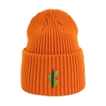 beanie-pomaranczowy_kaktus.png.jpg