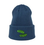 Haftowana czapka beanie - OGÓRKI