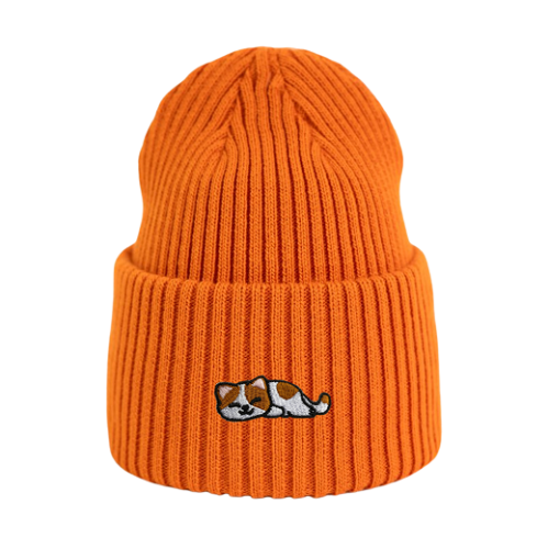 beanie_pomaranczowa-spiacy bialo rudy.png