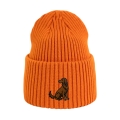 beanie-pomaranczowy_seterirlandzki.png.jpg