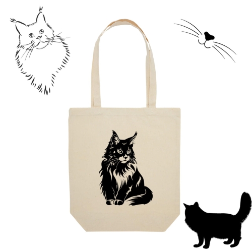 torba - maine coon.jpg