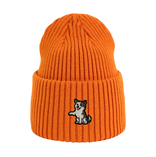 beanie_pomaranczowa-lapka.png