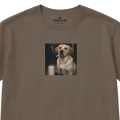 kawazmlekiem-labrador1.jpg