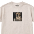 bezowy-labrador1.jpg