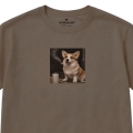 kawazmlekiem-corgi1.jpg
