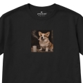 czarny-corgi1.jpg