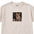 bezowy-corgi1.jpg