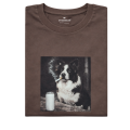 bordercollie.png