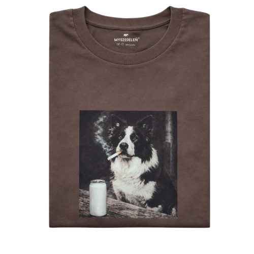 bordercollie.png