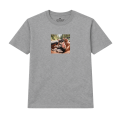 chihuahua (7).png