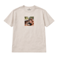 chihuahua (9).png