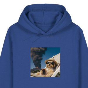 Bluza z kapturem WYLUZOWANY YORK