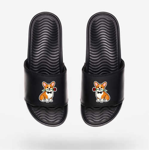 KLAPKI-pro_corgi-z-roza.png