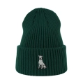 beanie_butelkowazielen-DOGARGENTYNSKI.png