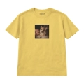 corgi-marzyciel (5).png
