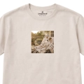 wyluzowany-jackrussell (4).png