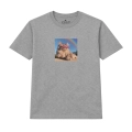 kot-mainecoon-marzyciel (2).png