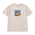 kot-mainecoon-marzyciel (3).png