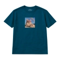 mainecoon-marzyciel.png