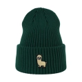 beanie_butelkowazielen-LAMA.png