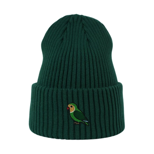 beanie_butelkowazielen-PAPUZKANIEROZLACZKA.png