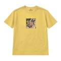 wyluzowany-boston-terrier (5).png
