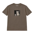 nocny-westie (3).png