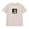 nocny-westie (4).png