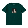 nocny-westie (5).png