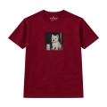 nocny-westie (7).png