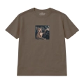 nocny-amstaff (3).png