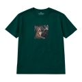 nocny-amstaff (5).png