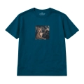 nocny-amstaff (6).png