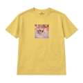 chihuahua-marzyciel (5).png