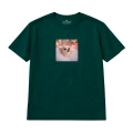 chihuahua-marzyciel (6).png