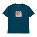 chihuahua-marzyciel (7).png