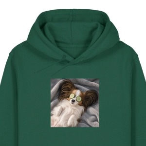 Bluza z kapturem WYLUZOWANY PAPILON