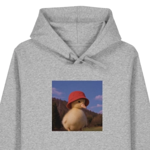 Bluza z kapturem WYLUZOWANA KACZUSZKA