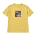 wyluzowany-corgi (5).png