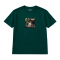 wyluzowany-border-collie-podroznik (7).png