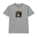wyluzowany-border-collie-podroznik (6).png